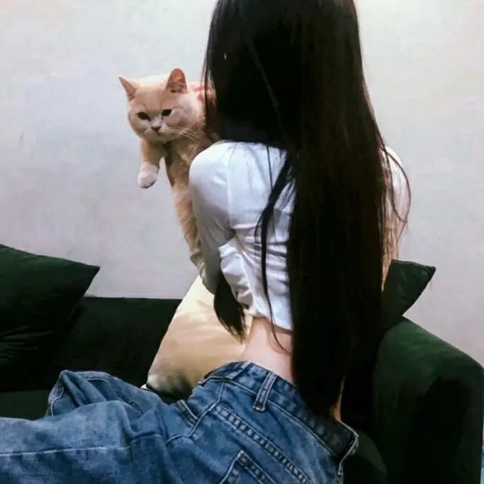 内战圣伯纳犬